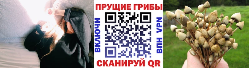 Галлюциногенные грибы MAGIC MUSHROOMS  Райчихинск 
